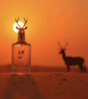 Rimal Perfume - Image 2